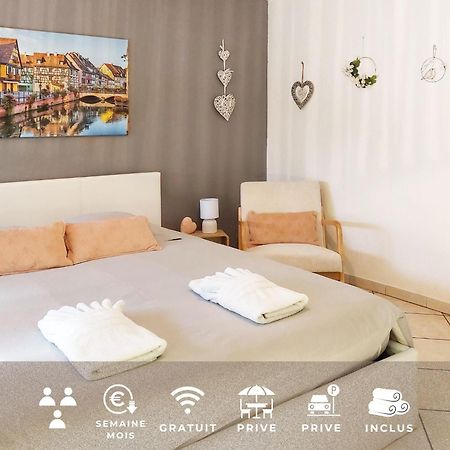 Le Cocon Appart Avec Parking Prive & Terrasse Sainte-Croix-en-Plaine Dış mekan fotoğraf