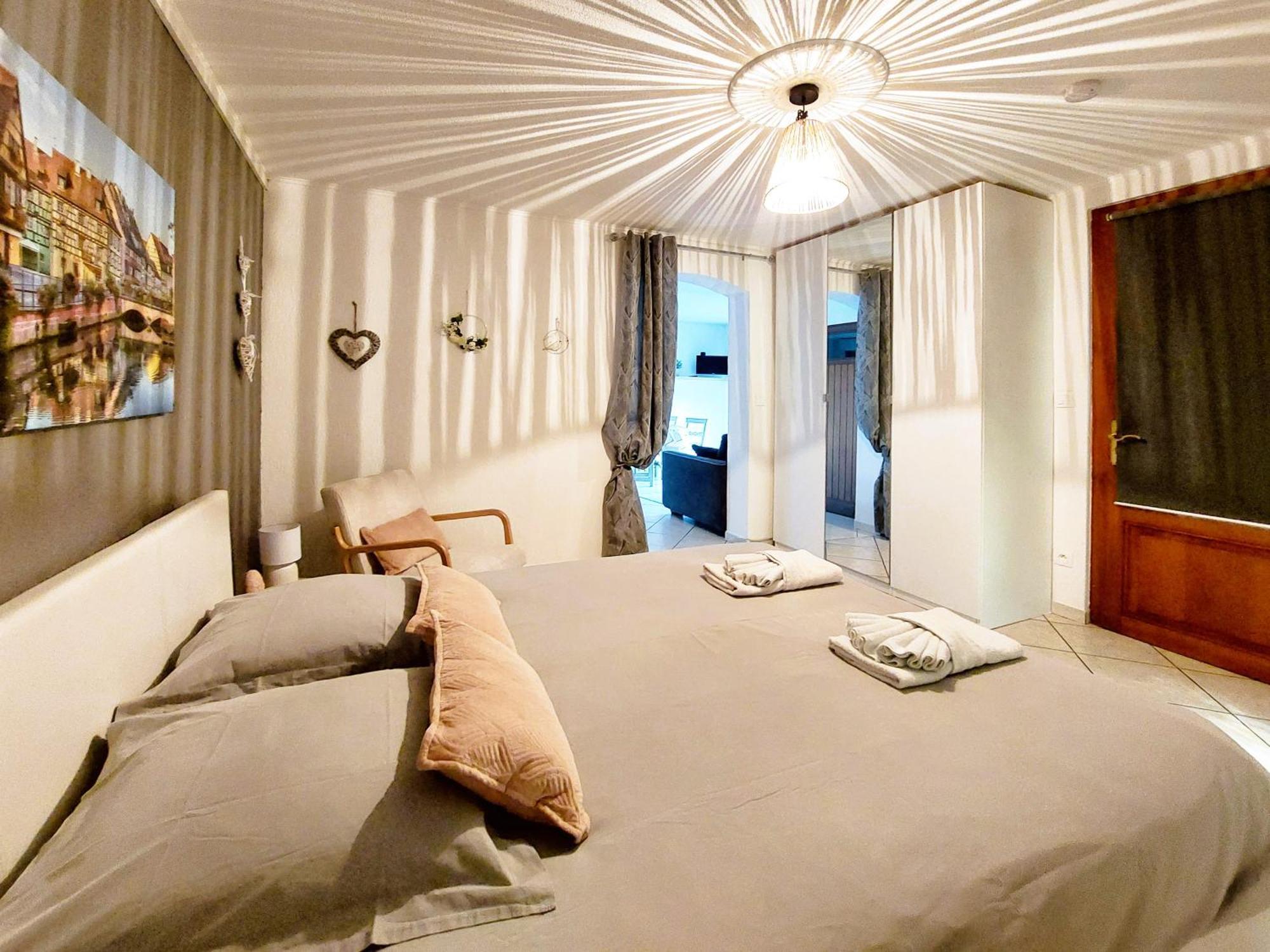 Le Cocon Appart Avec Parking Prive & Terrasse Sainte-Croix-en-Plaine Dış mekan fotoğraf