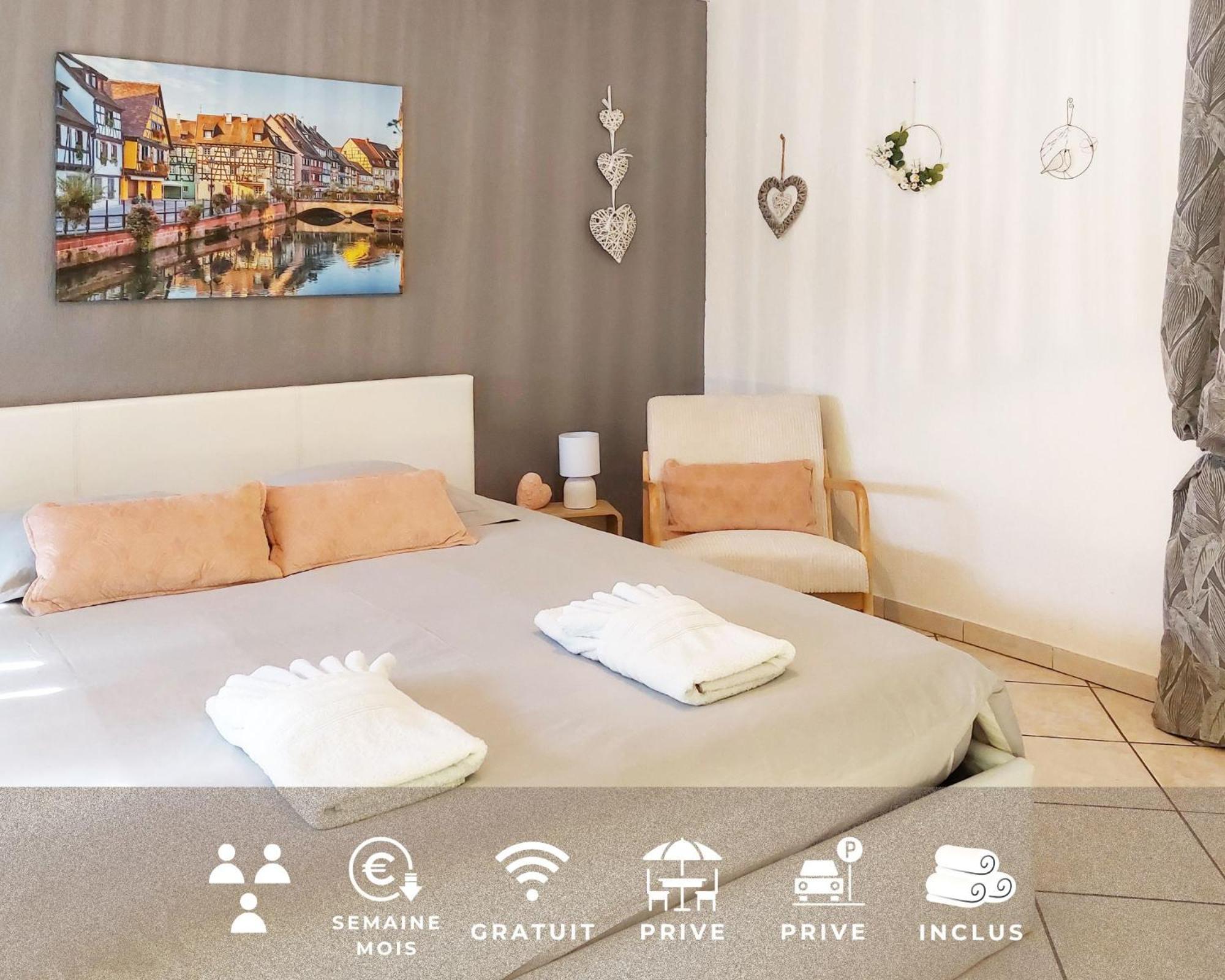 Le Cocon Appart Avec Parking Prive & Terrasse Sainte-Croix-en-Plaine Dış mekan fotoğraf
