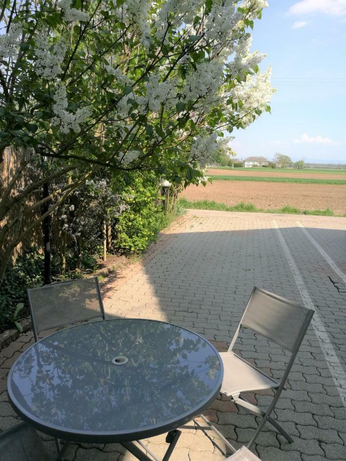 Le Cocon Appart Avec Parking Prive & Terrasse Sainte-Croix-en-Plaine Dış mekan fotoğraf